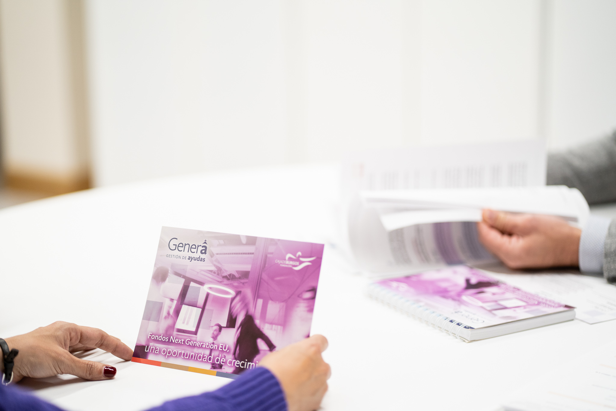 Oficina Genera para gestión de ayudas y subvenciones a empresas y organizaciones en Fundación Caja de Burgos 