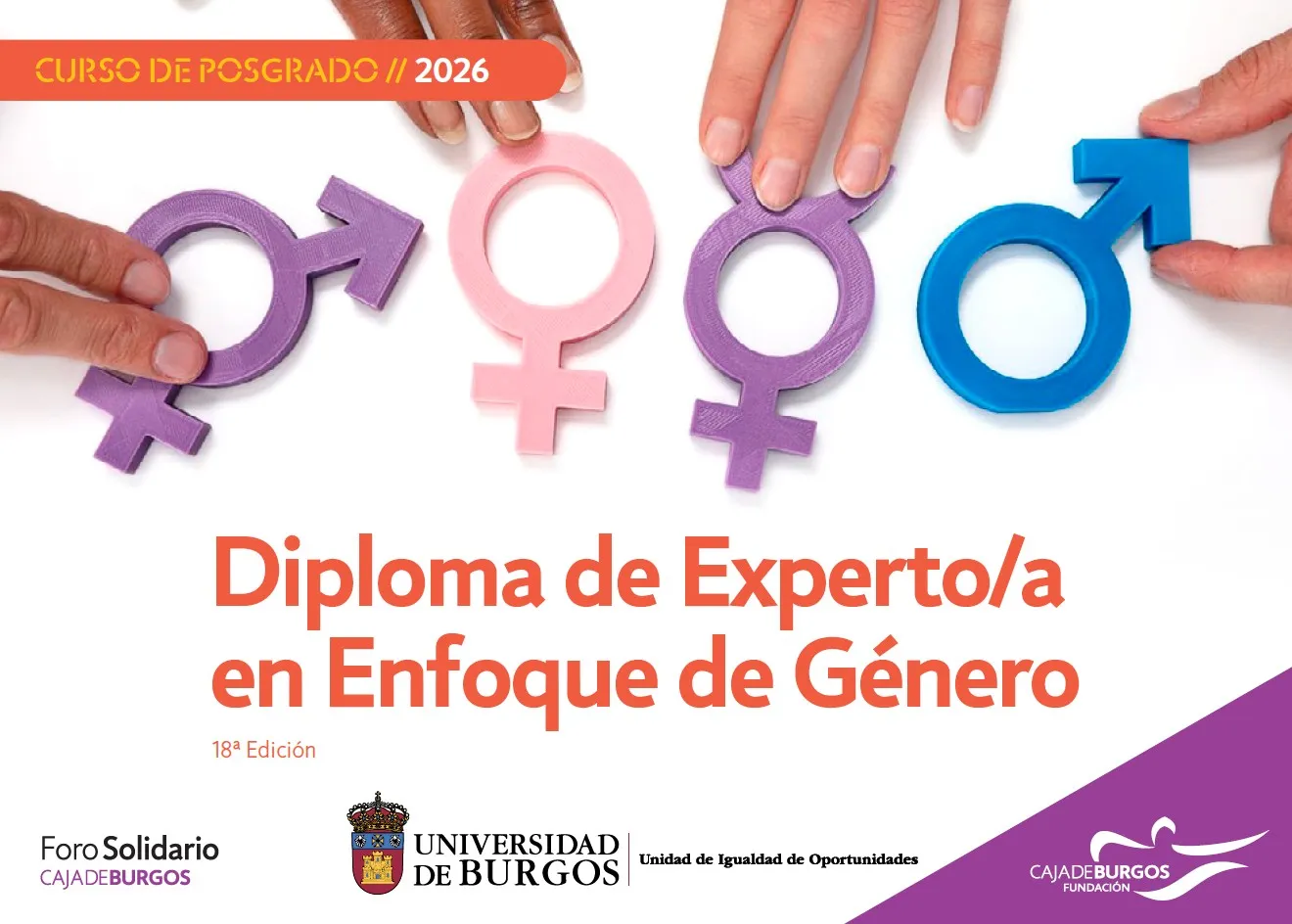 Diploma Experto/a en Enfoque de Género 2026 (18ª) - Fundación Caja de Burgos