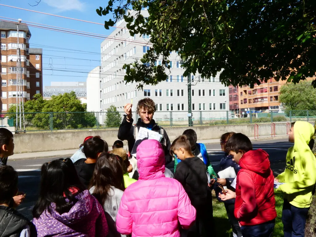 Actividad educa Palencia