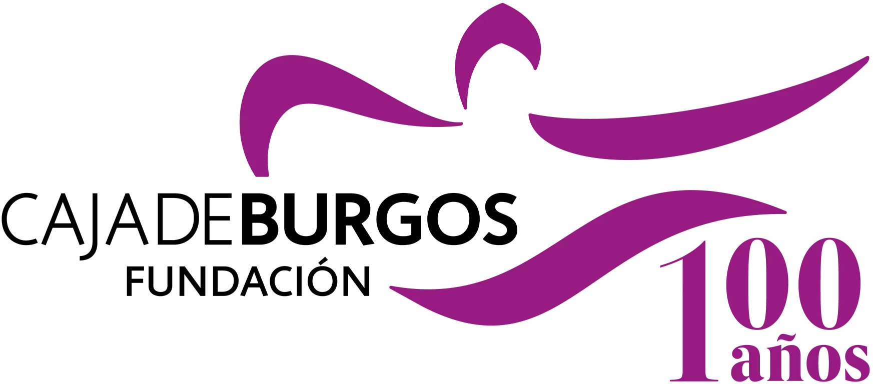 Fundación Caja de Burgos